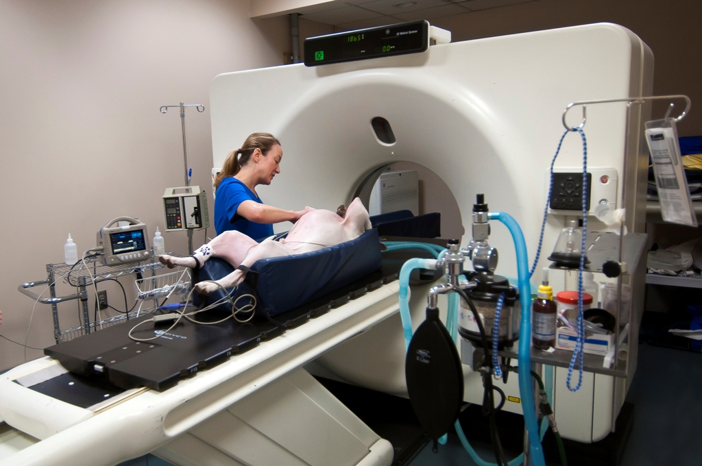 Oncology at VRIC: Information about MRI and